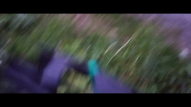 kickerscooter: Roadshock