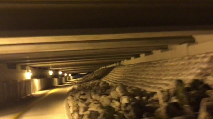 Big Dick: Streaking naked under the bridge at night - Big dick outside