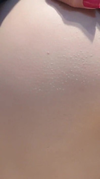 Look at My Ass in Your Face