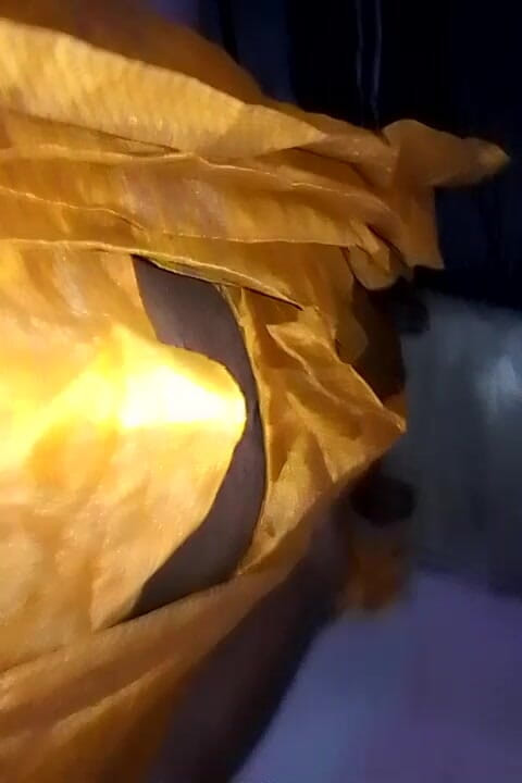 Jaanu294: 인도 스타일의 솔로 보이 랑카