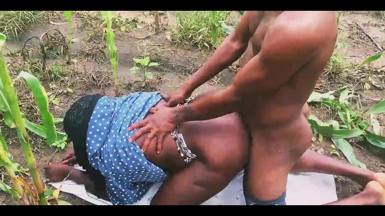 Showkee: Ферма раком