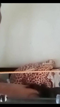 Cum in My Ass