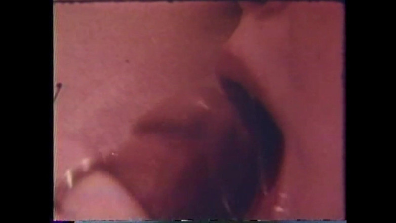 Vintage megastore: Cucej ptáka prasátku