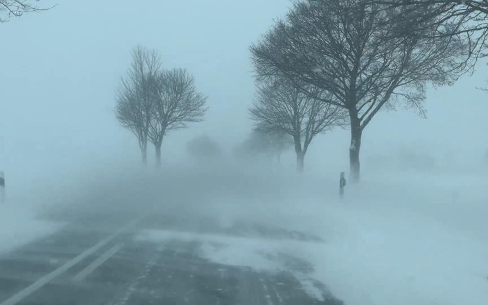 Qualzucht: Mega Snowstorm, Then My Scrotum Almost Bursts!