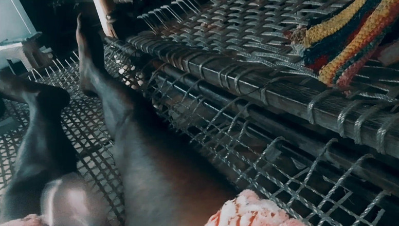 Aashiq: Desi chlapec