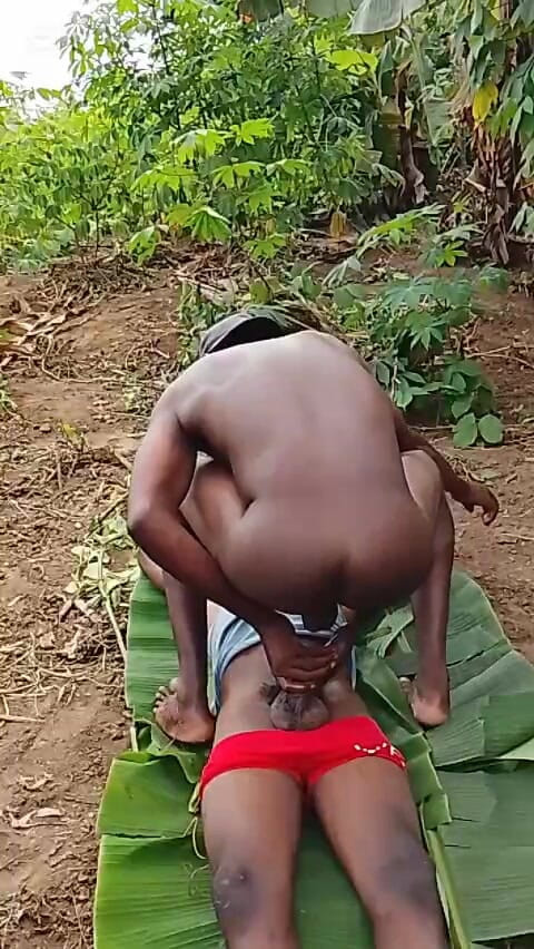 Porchey: Perfora el culo de perra con una polla de 12 pulgadas