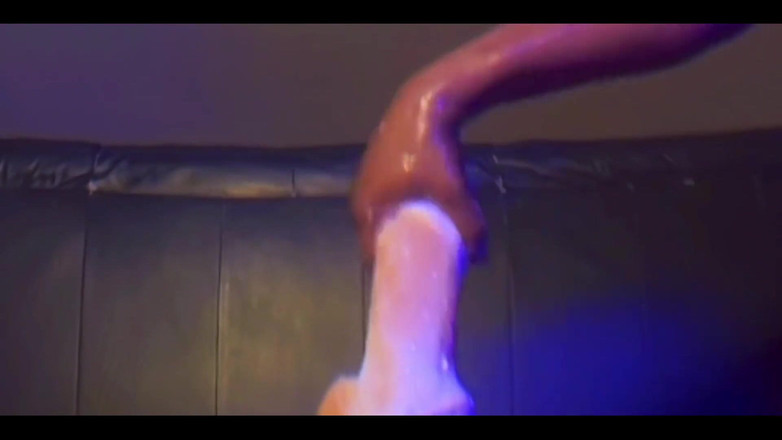 DipsoDeep: Ensemble de forfaits sportifs