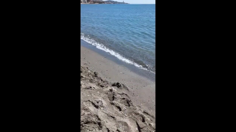 SweetJaneOfficial: 公共裸体合集 - 披萨外卖，裸照海滩，挑逗朋友