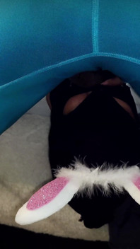 Hot Throatpie.... Bunnie 2.0 Vol.2