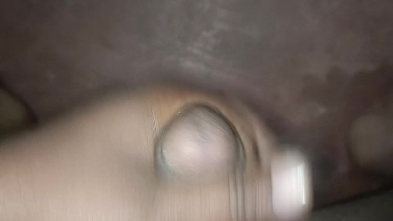 LegalVector8: Melancap