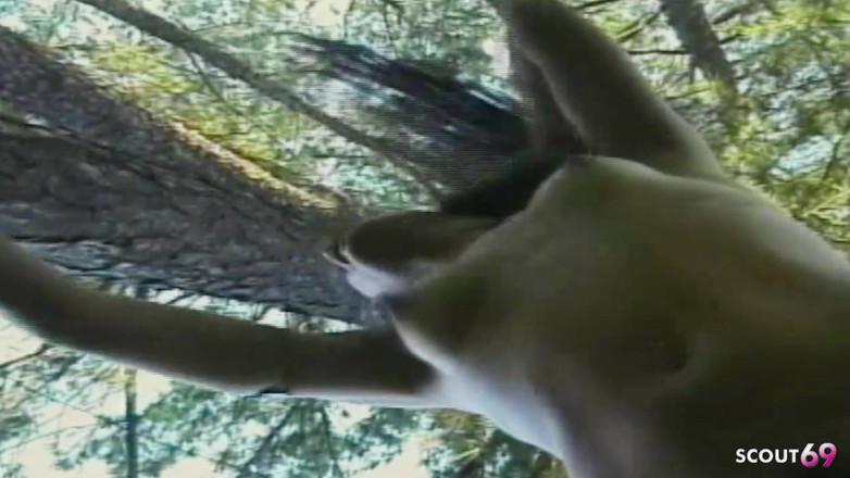 Shemale TS Collection: Збуджений транссексуал з великим членом трахається в тугу дупу товстим членом