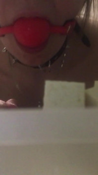 Cooking While Wearing a Collar and a Gag - Lovessie