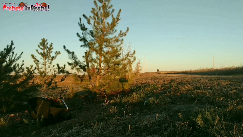 Ass Monkey: Destruiu o cu