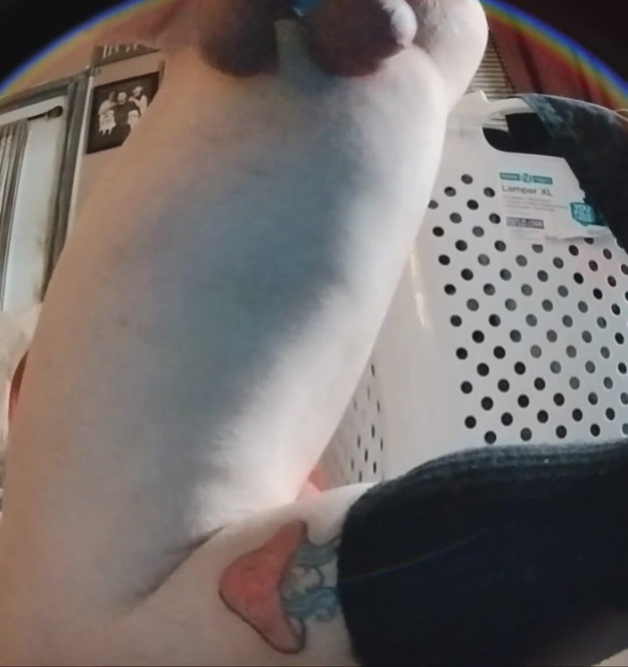 HungBareBackRabbit: Divertimento solista