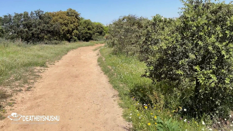 Pamsnusnu: Cable Car Ride in Madrid Country House with Busty Babe...