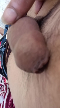 ควยเดซี