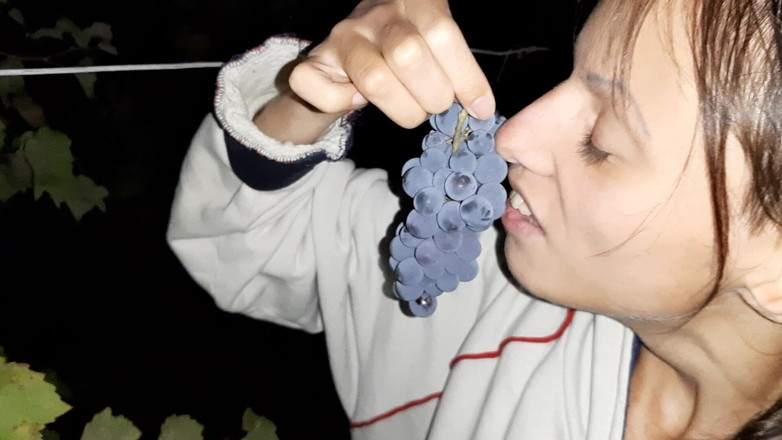 Lesbian-illusion: 私の隣人はクンニリングスとブドウのために私に感謝しました