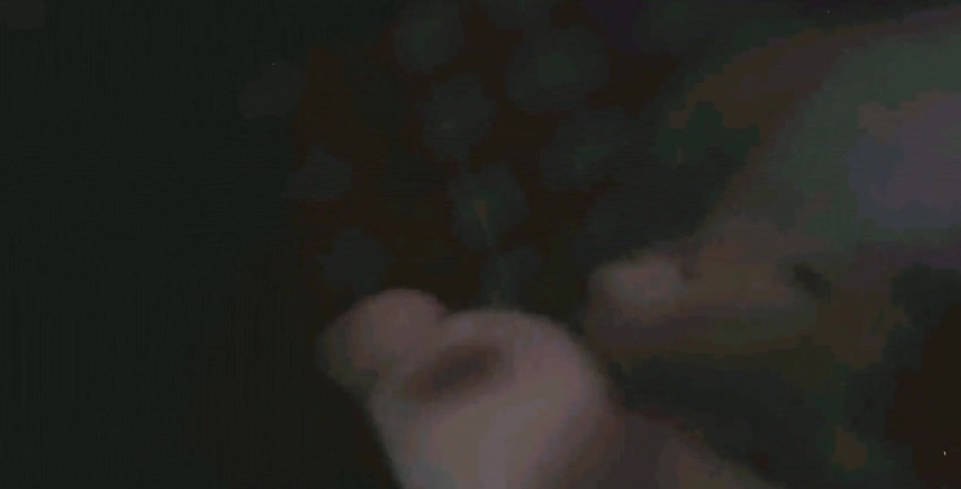 ScaninForFun: Bbw trưởng thành nóng bỏng làm tình