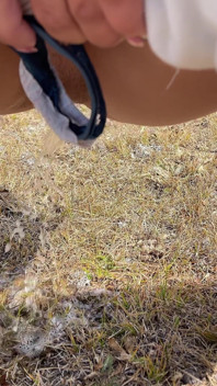 A Compilation of Public Pissing and Creampies in Nature! Road Trip! POV!
