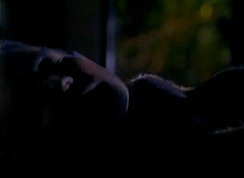 Sally Layd Tits Out Of Bra