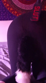 Slap Ass