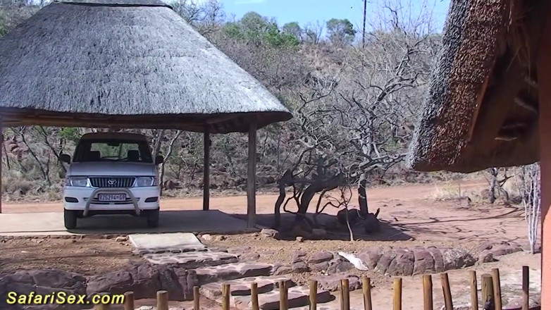 Safari sex: African housewife rough banged by sex tourist