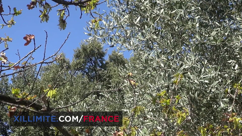 Made In France: Sex break in the countryside