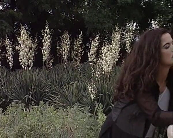 Angelica Bella Production: Angelica Bella Production in hot movie Shouting bodies