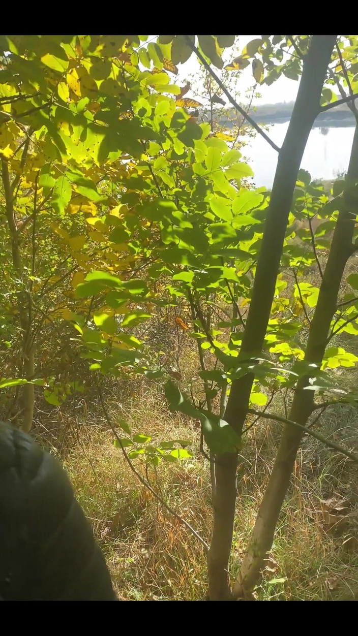 MilfyCalla: Milfycallaのアウトドアの楽しみ、自然の中でのセックスは素晴らしいエピソードです私のビデオの編集を準備しました。教えてほしい