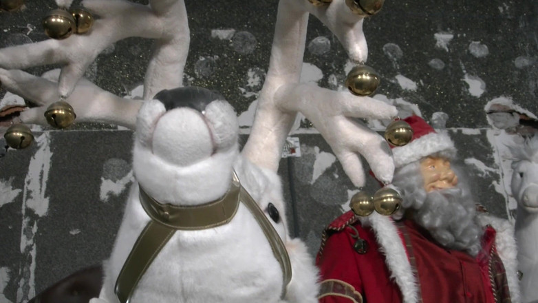 HPG Production: Spesial Natal, memek berbulu 5408 1