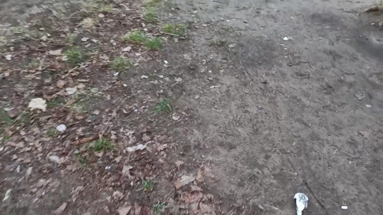 SexyFairyTale: Une fille capturée dans la forêt