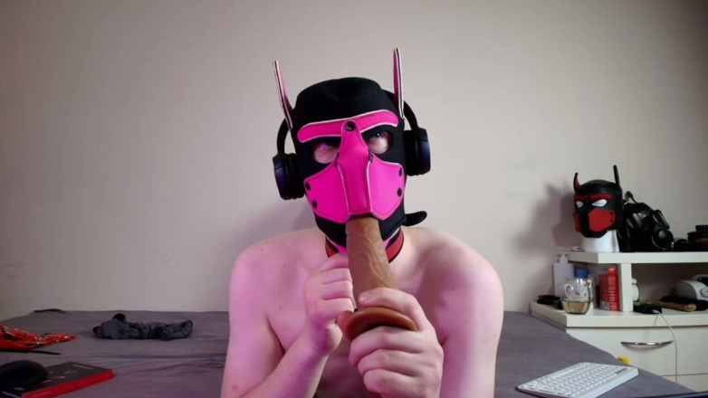Alex GoodBoy: This Could Be Your Cock in Hound's Mouth