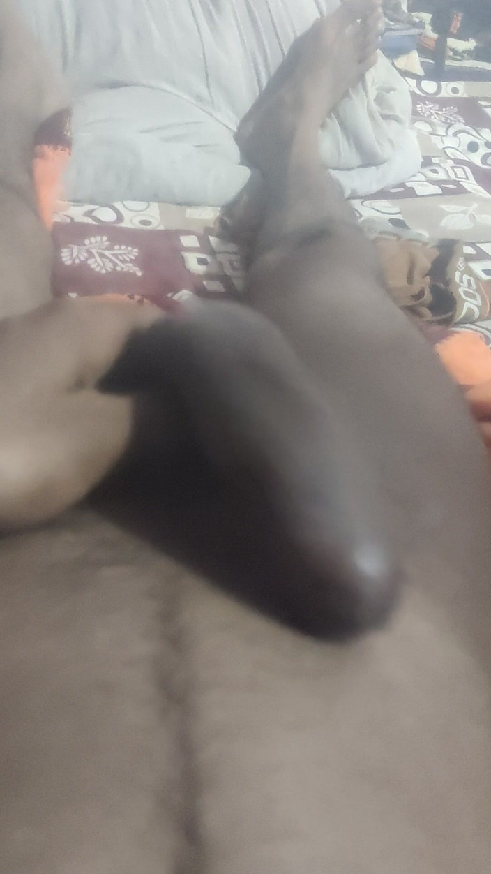 Gigolo Tv: Aunty's Pussy Became Wet After Seeing My Penis.