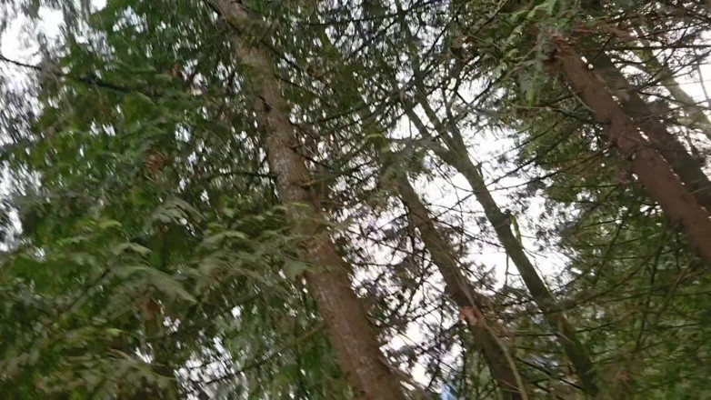 Nerdy_faery: Критий Писяти, На Відкритому Повітрі Писяти