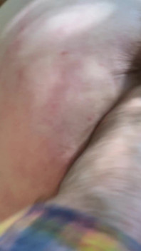 Traviesa Madura Maxxximummilf Intercambia Sexo Por Buena Madera