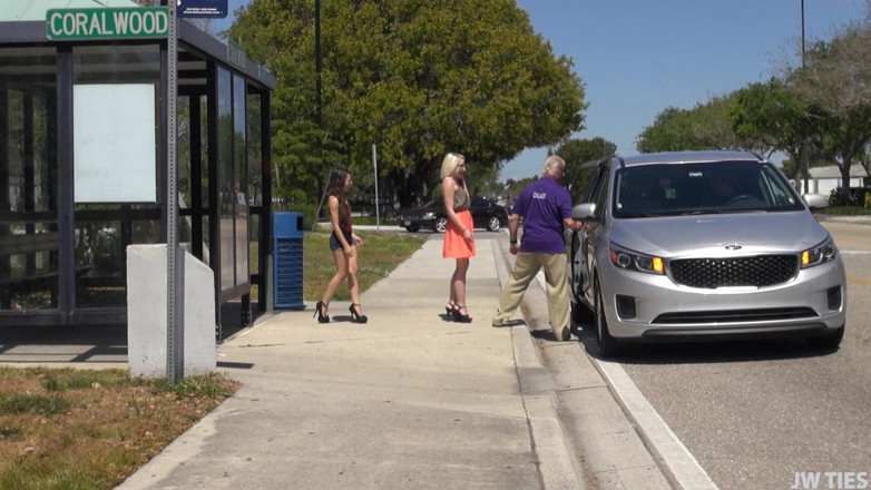 Desperate Pleasures: Lexies Uber群P