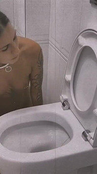 Nettoyeur de toilettes pratique