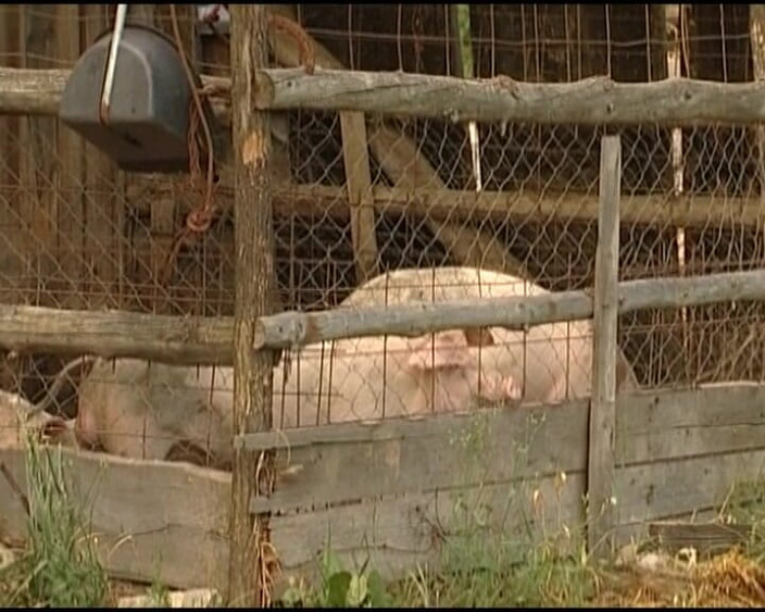 Deutsche Madchen: 德国奶奶在大自然中性交硬