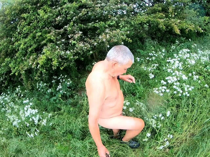 Andy: Прогулка 29 2025