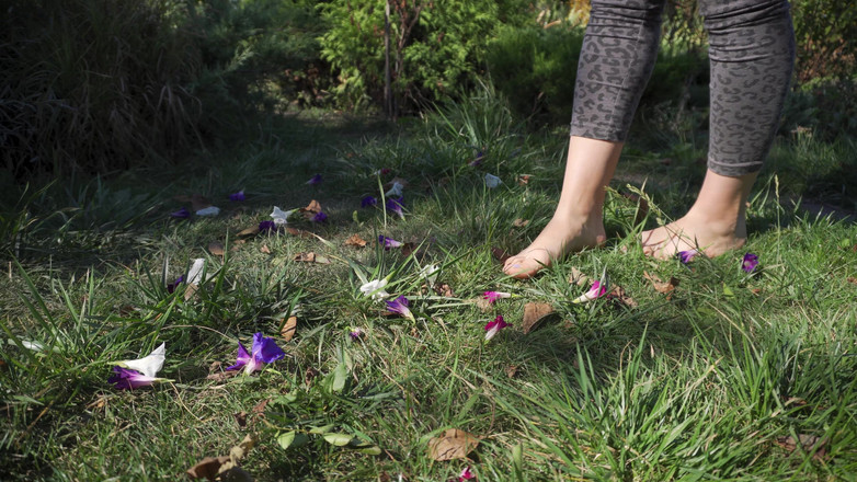 Teasecombo 4K: Nghiền hoa đi chân trần trên cỏ