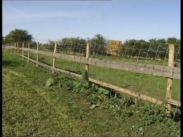 Radical: 欲火中烧的荡妇和坚硬的鸡巴feas在户外群交