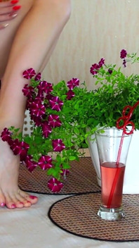 Petunia