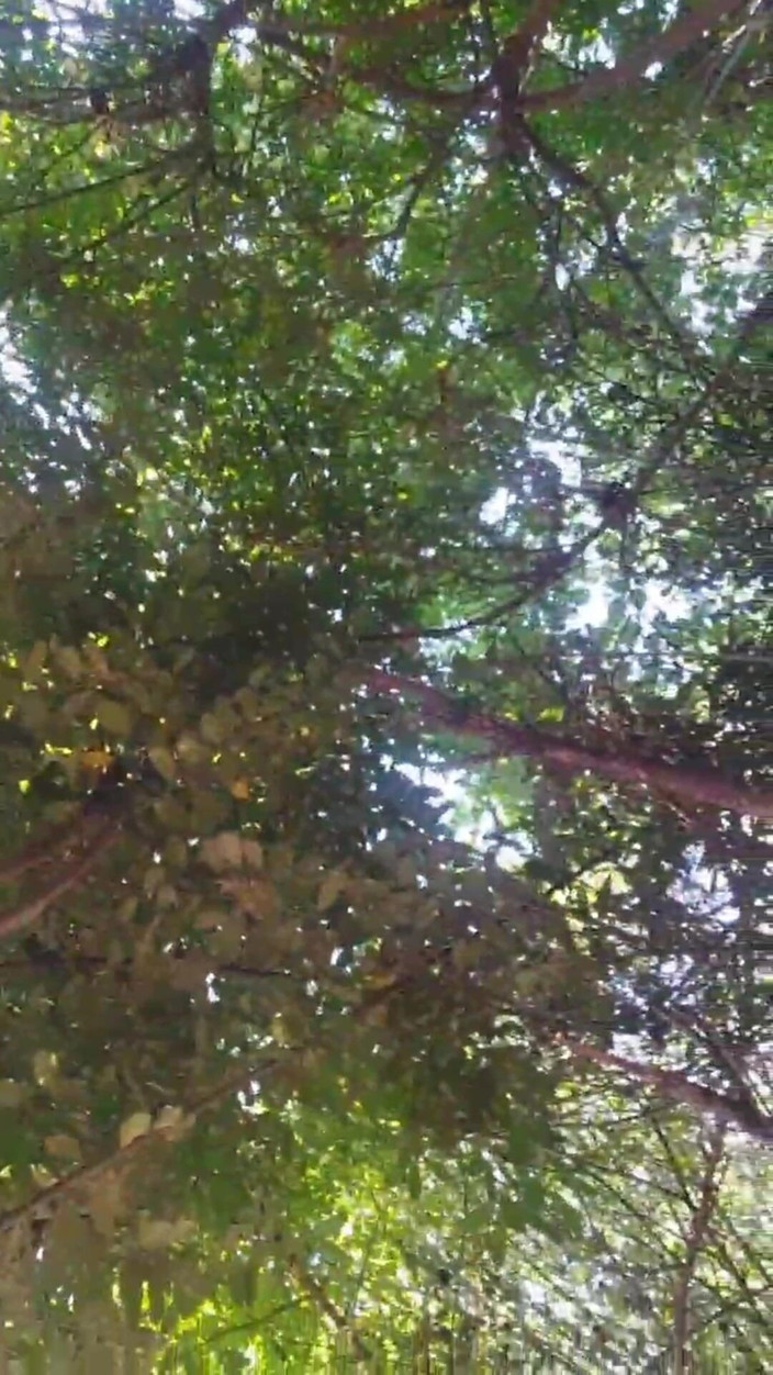 Kitty_Cross: Who Says Boys Can't Be Sexy?