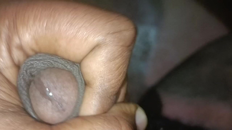 LegalVector8: Indische Hindi neukpartij