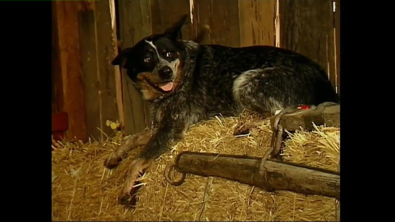 Heatwave Porn: Homey in the Haystack, Part 1