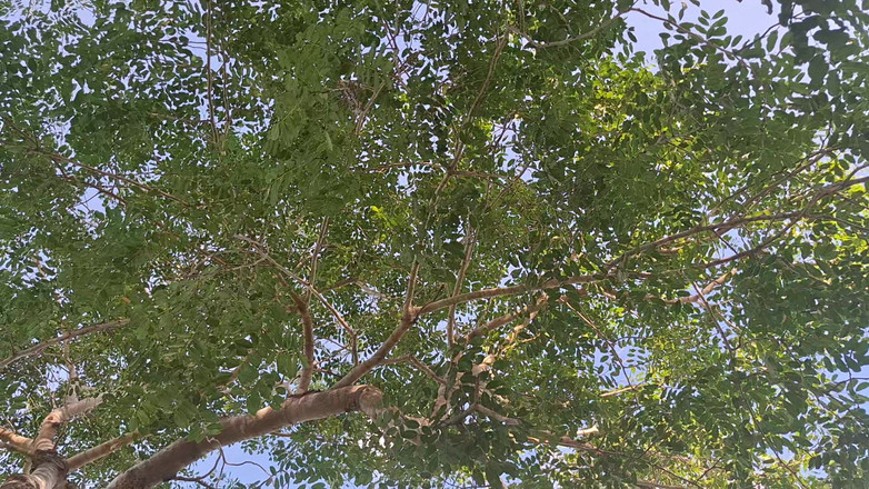 BMCs: 世界最高の景色で、愛する男と、でも一生のためにセックス