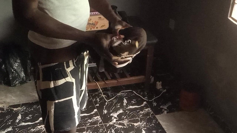 Moviesporn1: इस ब्रदर्स ने महिला को आमंत्रित किए बिना वीर्य में जोरदार चुदाई की