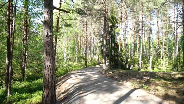 Eronordic: MILF z dużymi piersiami w lesie