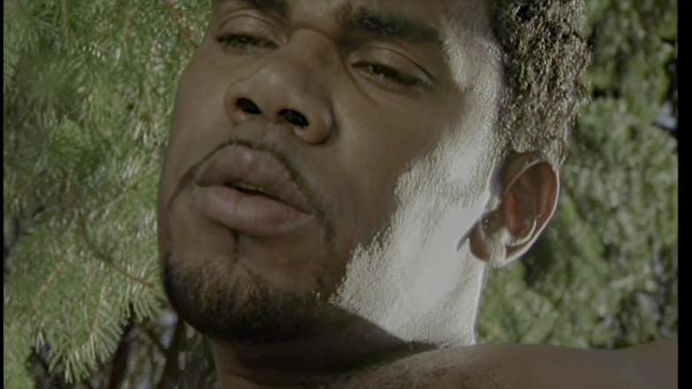 Inhonorof porn: Berambut perang cantik disetubuhi oleh hitam di dalam hutan