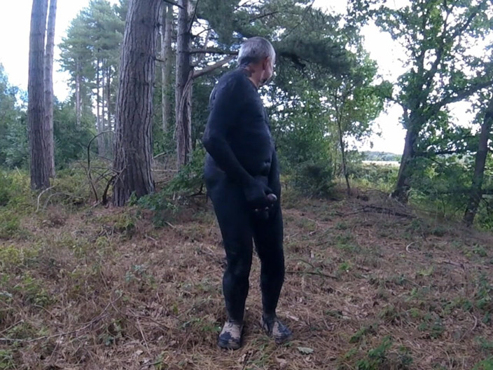 Andy: Bahagian 3 Walk 65
